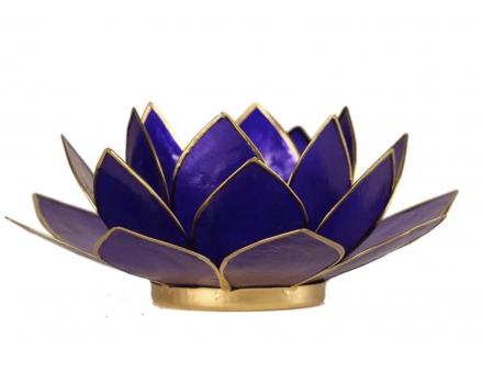 LOTUS CHAKRA TOUTES COULEURS GM