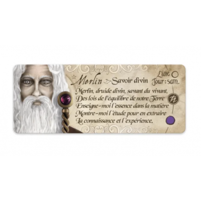 PETIT ORACLE GRIMOIRE DE MAGIE