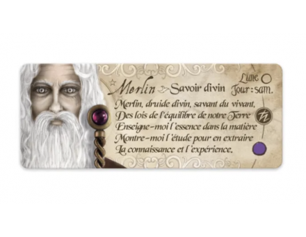 PETIT ORACLE GRIMOIRE DE MAGIE