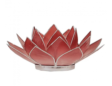 ECLAIRAGE LOTUS  ROSE BORDS ARGENT