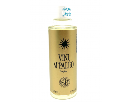 VINI M'PALÉO